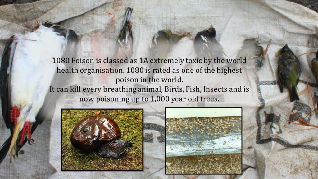 1080 Poison Wildlife Effects