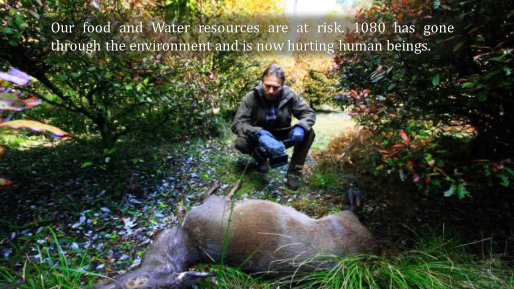1080 Poison Wildlife Effects